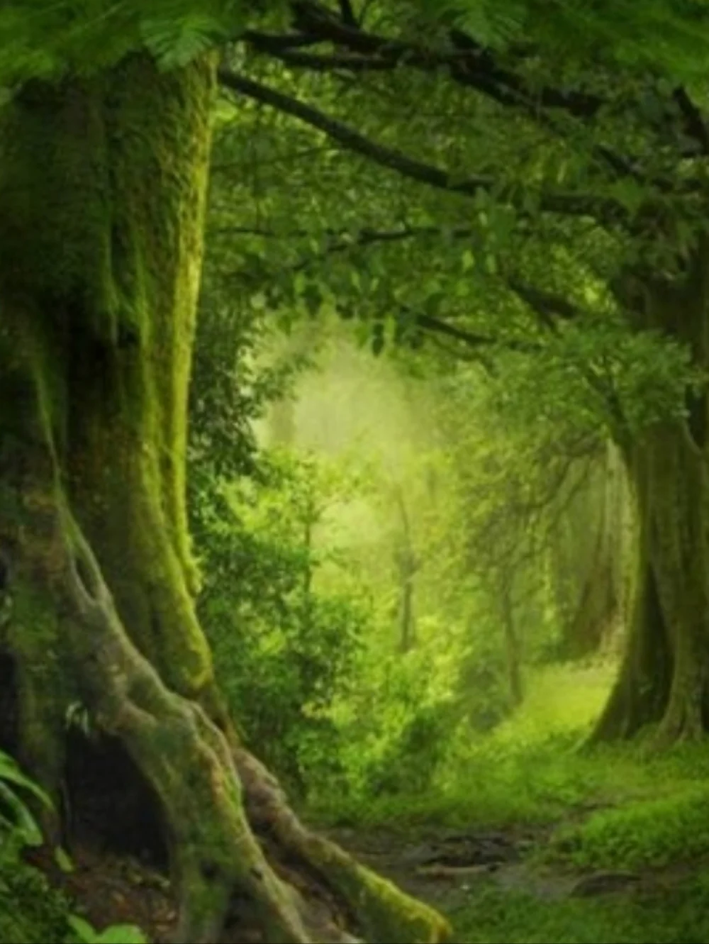 Big Forest Tapestry Trees Woods Wall Hanging Scenery Tree Art Nature Landscape